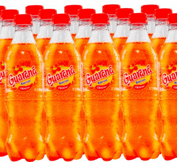 King Kong Galleta Manjar Blanco y Piña 450 g